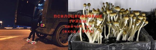 прущая мука Алексеевка
