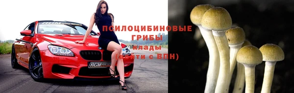 ПСИЛОЦИБИНОВЫЕ ГРИБЫ Абдулино