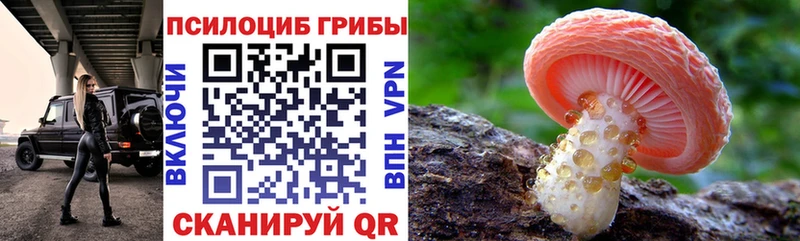 мориарти состав  Покачи  Псилоцибиновые грибы MAGIC MUSHROOMS  закладки 